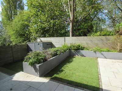 Picture 20